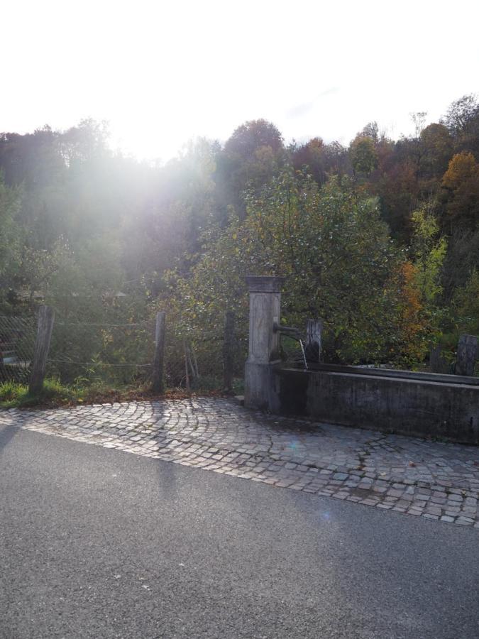 Ferienwohnung Dinkelbergblick Wehr  Exterior foto